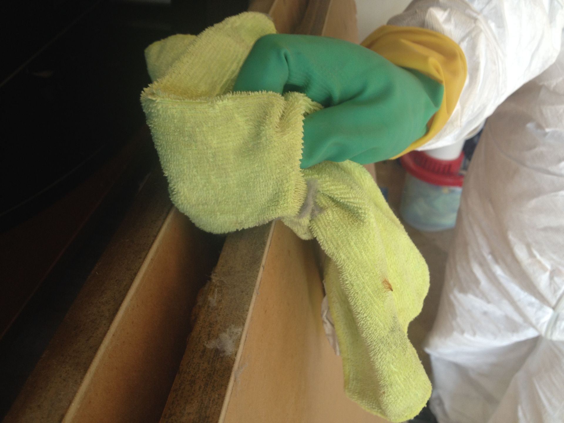 Fine clean up mold remediation